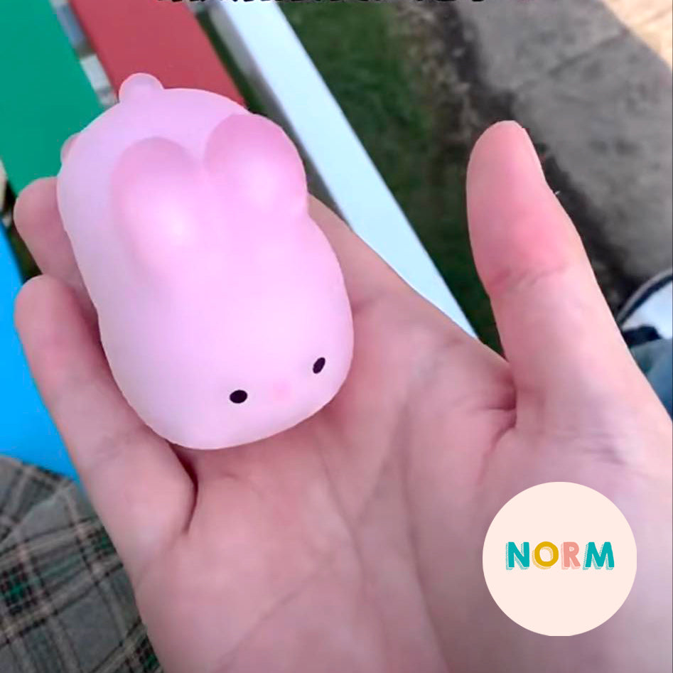 Bunny Mochi Color Changing Squishy Toy