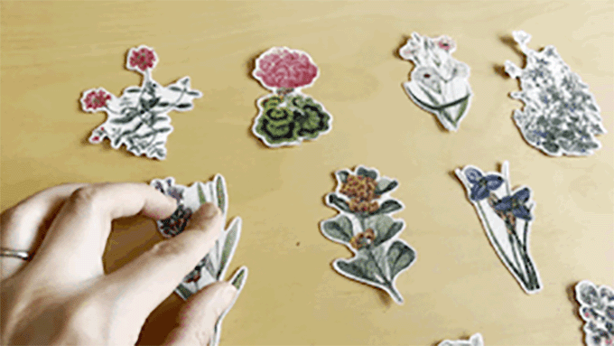 FLORAL Wellness Stickers Boxset