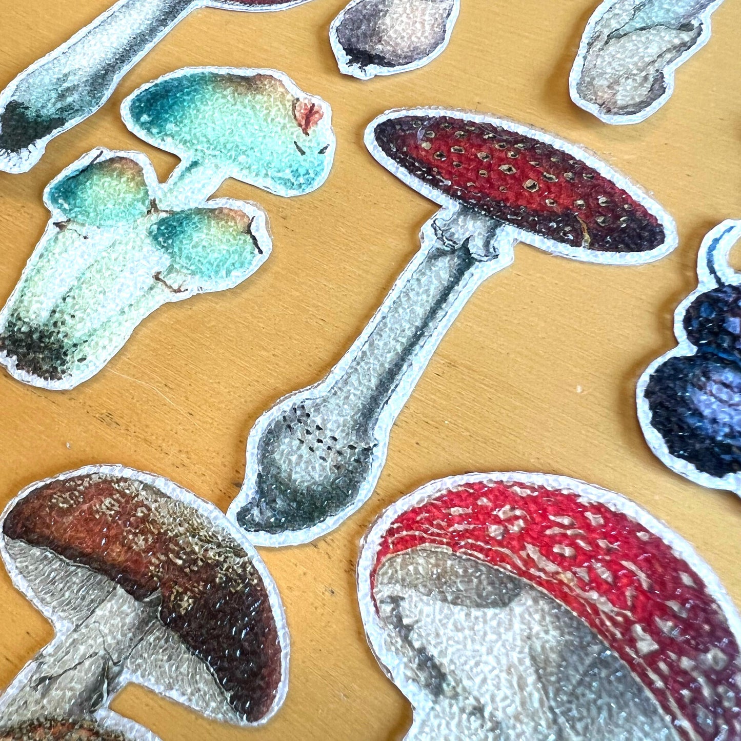 MUSHROOM Wellness Stickers Boxset