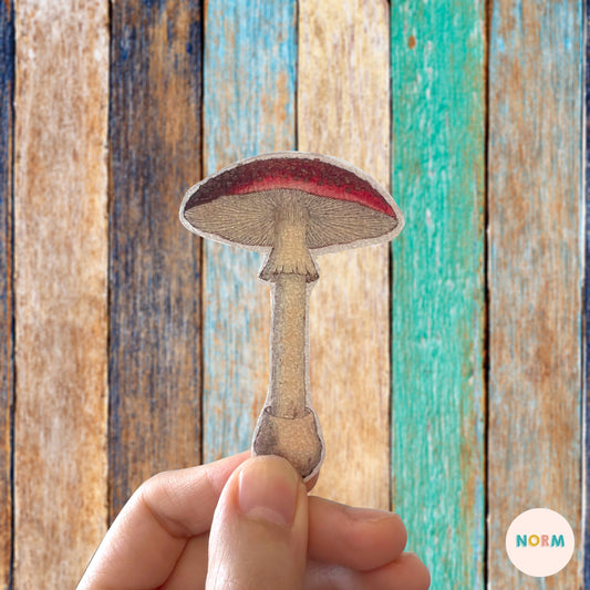 RED MUSHROOM Textured Wellness Sticker